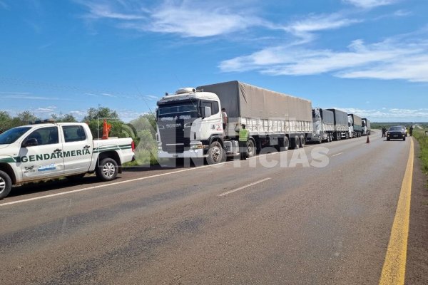 Interdictan cinco camiones con 175 toneladas de soja