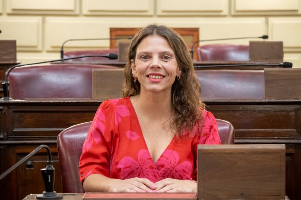 Gisel Mahmud presidirá la Comisión de Educación de la Cámara de Diputados