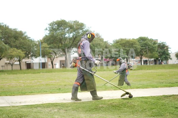 Desmalezado de espacios verdes: paulatina normalización del servicio en la ciudad