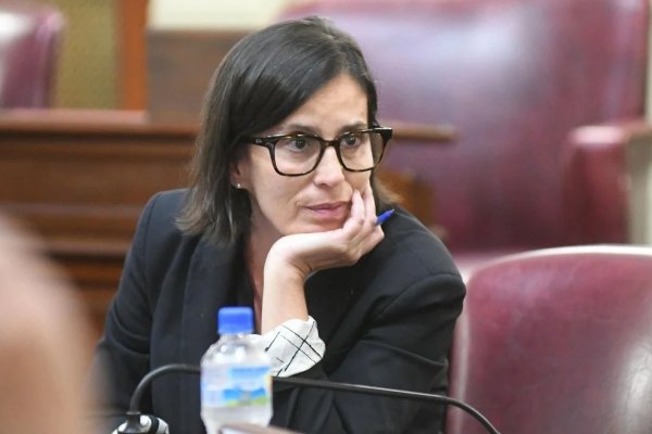 Para  una diputada santafesina de aprobarse el autocultivo de cannabis podría ser un refugio  para el marcotráfico