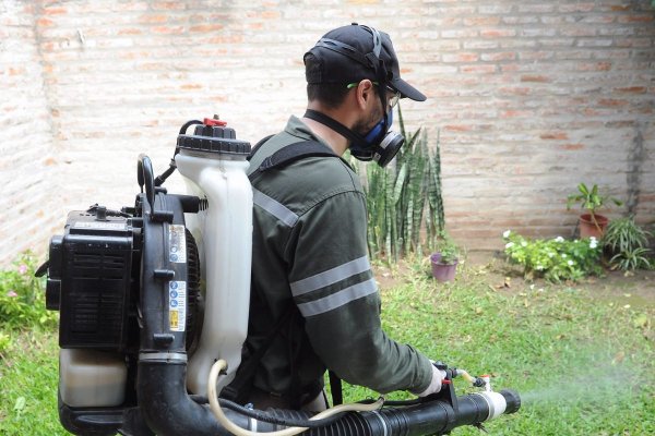 Dengue: se detectó un descenso de casos en la ciudad