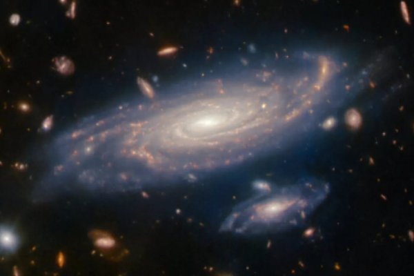 El telescopio James Webb encontró las galaxias más lejanas y antiguas: nacieron poco después del Big Bang