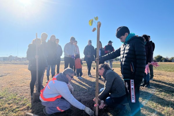 La municipalidad y una empresa plantaron árboles en el barrio Mora