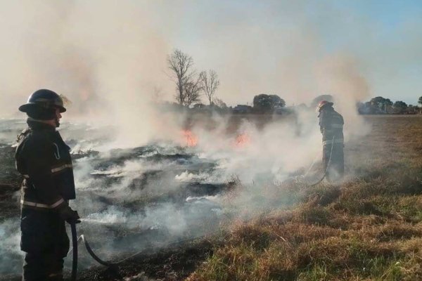 Manejo del fuego: hubo 40 intervenciones en Santa Fe y alrededores en el fin de semana