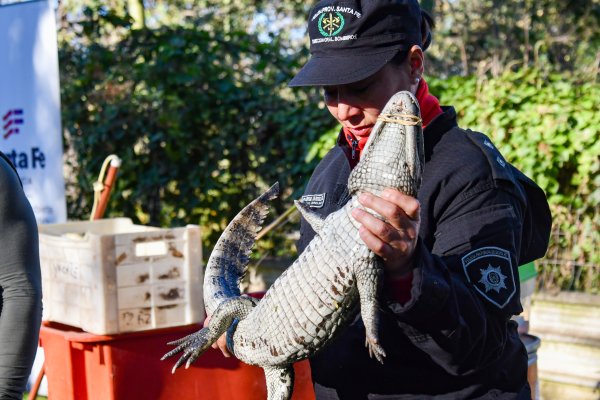 Provincia continua capacitando a brigadistas en contención de animales silvestres