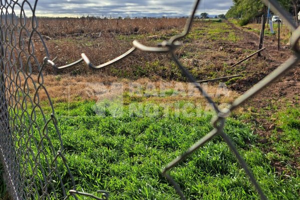 Otra vez volvieron a vandalizar el predio de ATILRA