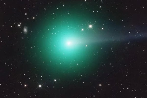 Llegó el “cometa del siglo”: cómo es y dónde puede verse en Argentina