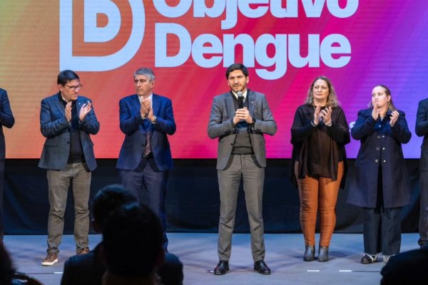 Pullaro anunció que se destinarán $ 8.000 millones para prevenir y combatir el dengue