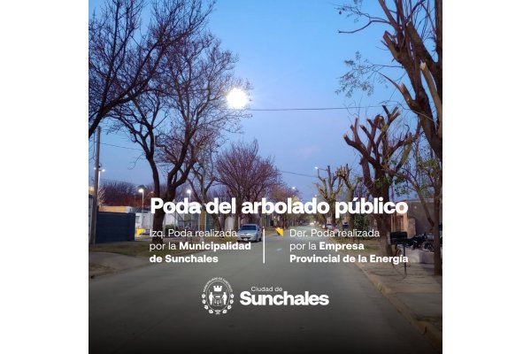 Podas de árboles: aclaración del municipio sunchalense