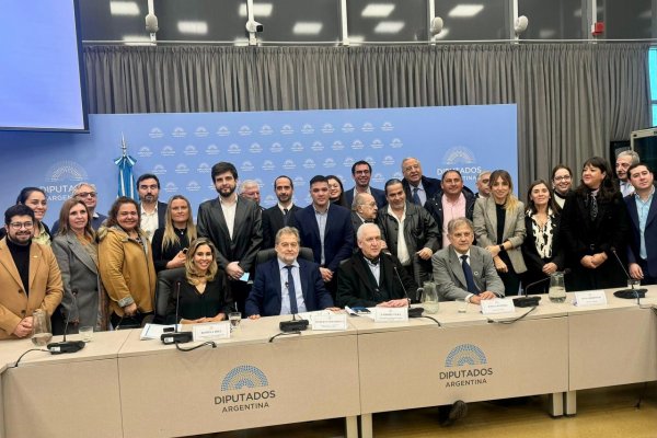 Mirabella coordinó el encuentro entre miembros de la Cámara de Diputados y representantes del parlamento del Mercosur