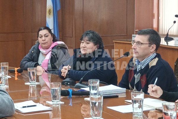 Lo que dijo Ramona Ramallo en el Concejo: "llega el momento en que flaqueás y querés irte"