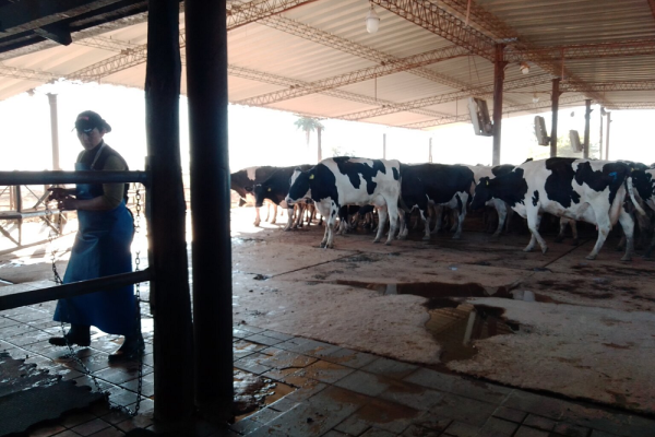 La Expo Rural Rafaela volverá a ser un punto de encuentro para las mujeres del campo