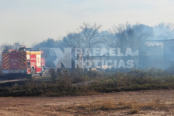 Incendios forestales sin tregua: otra quema muy cerca de un puente de la Variante