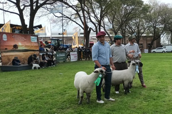 Caminando el centenario para los animales de granja, esta será otra gran ExpoRural