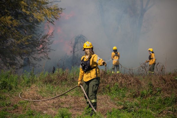 Brigadistas forestales de Santa Fe combaten focos ígneos en zona de islas entrerrianas