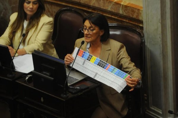 El Senado aprobó con cambios la Boleta Única de Papel y la definición quedó en manos de Diputados