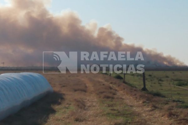 Un incendio en jurisdicción de Angélica provocó una gran humareda en Rafaela