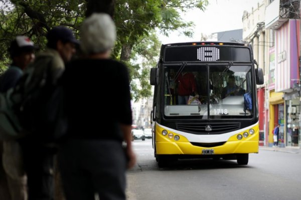 ¿Mascotas en los colectivos?