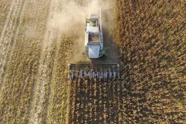 Lluvias en el campo: salir de la sequía en más del 80% de las tierras productivas es la mejor noticia del momento