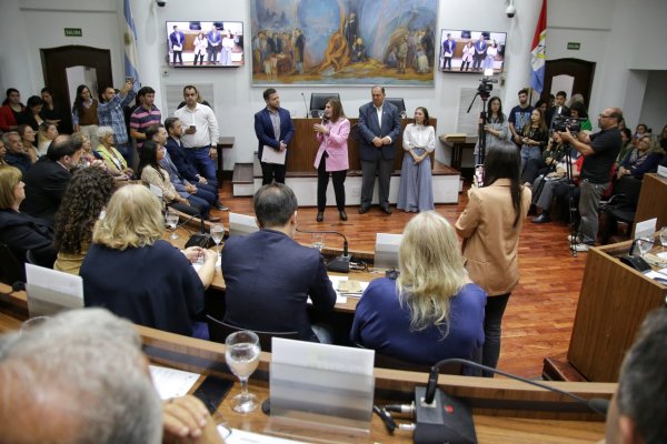 Con 13 proyectos presentados, finalizó el Concejo Mayor 2024