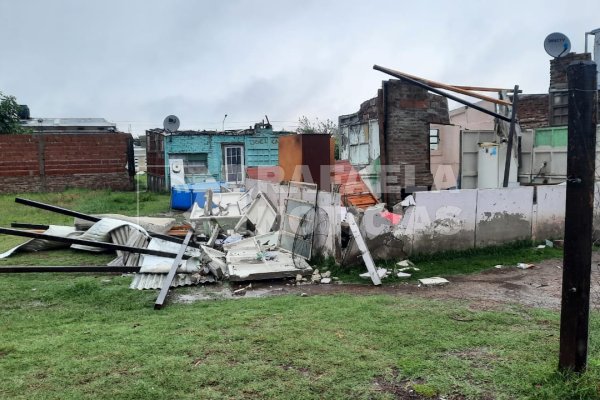 Temporal en Rafaela: suspensión de clases, árboles caídos y viviendas afectadas