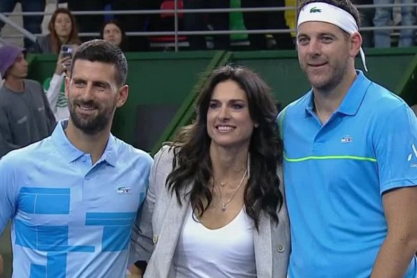 Ante una multitud, Juan Martín Del Potro le dijo adiós al tenis