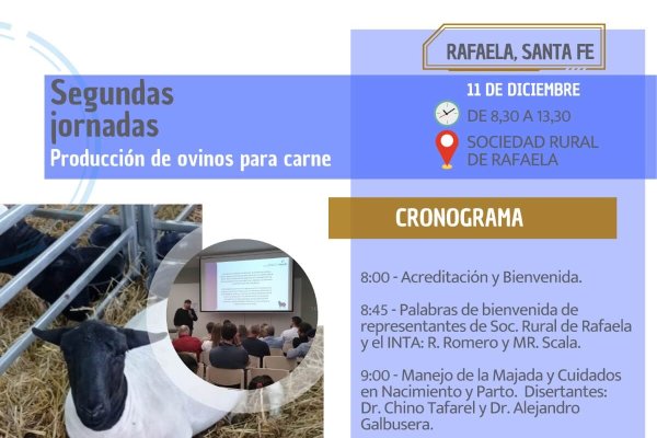 La Sociedad Rural de Rafaela invita a la 2da Jornada sobre Producción de Ovinos para Carne