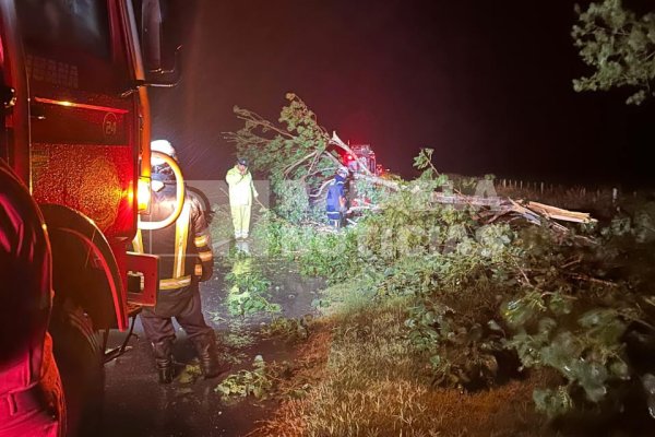 María Juana: Bomberos Voluntarios debieron intervenir para retirar varios árboles caídos en la calle