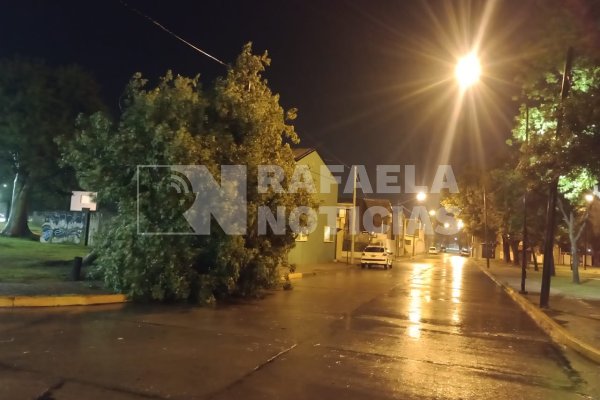 Pasó la tormenta: algunos árboles caídos y una intensa lluvia marcaron la noche rafaelina