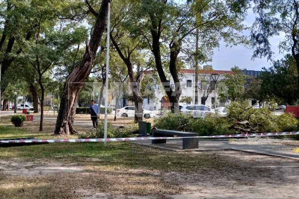 El temporal también provocó daños en Sunchales