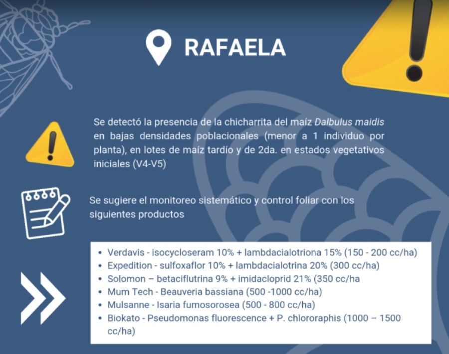 La advertencia del INTA y los productos recomendados para utilizar.