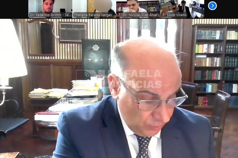 Imagen de la audiencia realizada por Zoom.