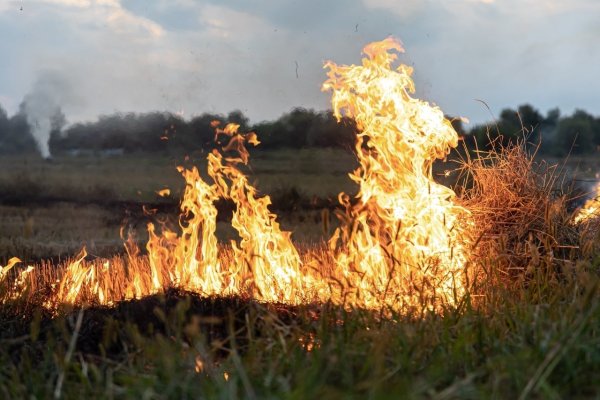 Recomendaciones del Gobierno Municipal para prevenir incendios