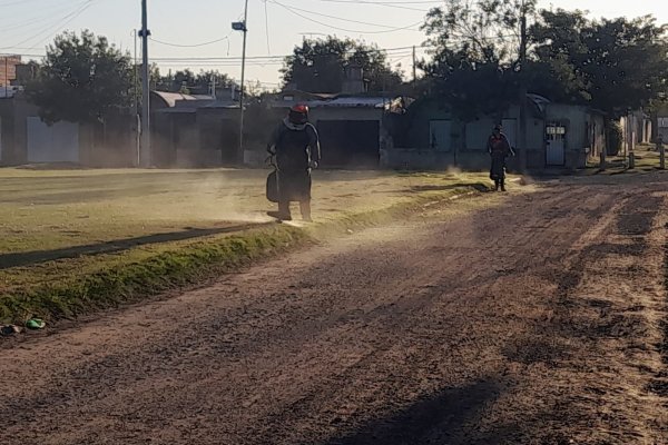 Desmalezado en Rafaela: un compromiso con la salud, el ambiente y la seguridad