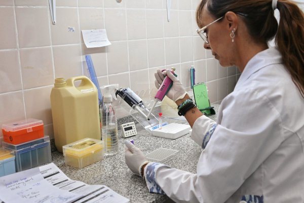 Laboratorios de Santa Fe listos para enfrentar el dengue con más insumos y tecnología: una estrategia integral contra el brote