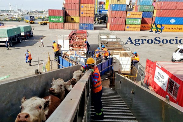 Movilización en Rafaela contra "los barcos de la muerte"